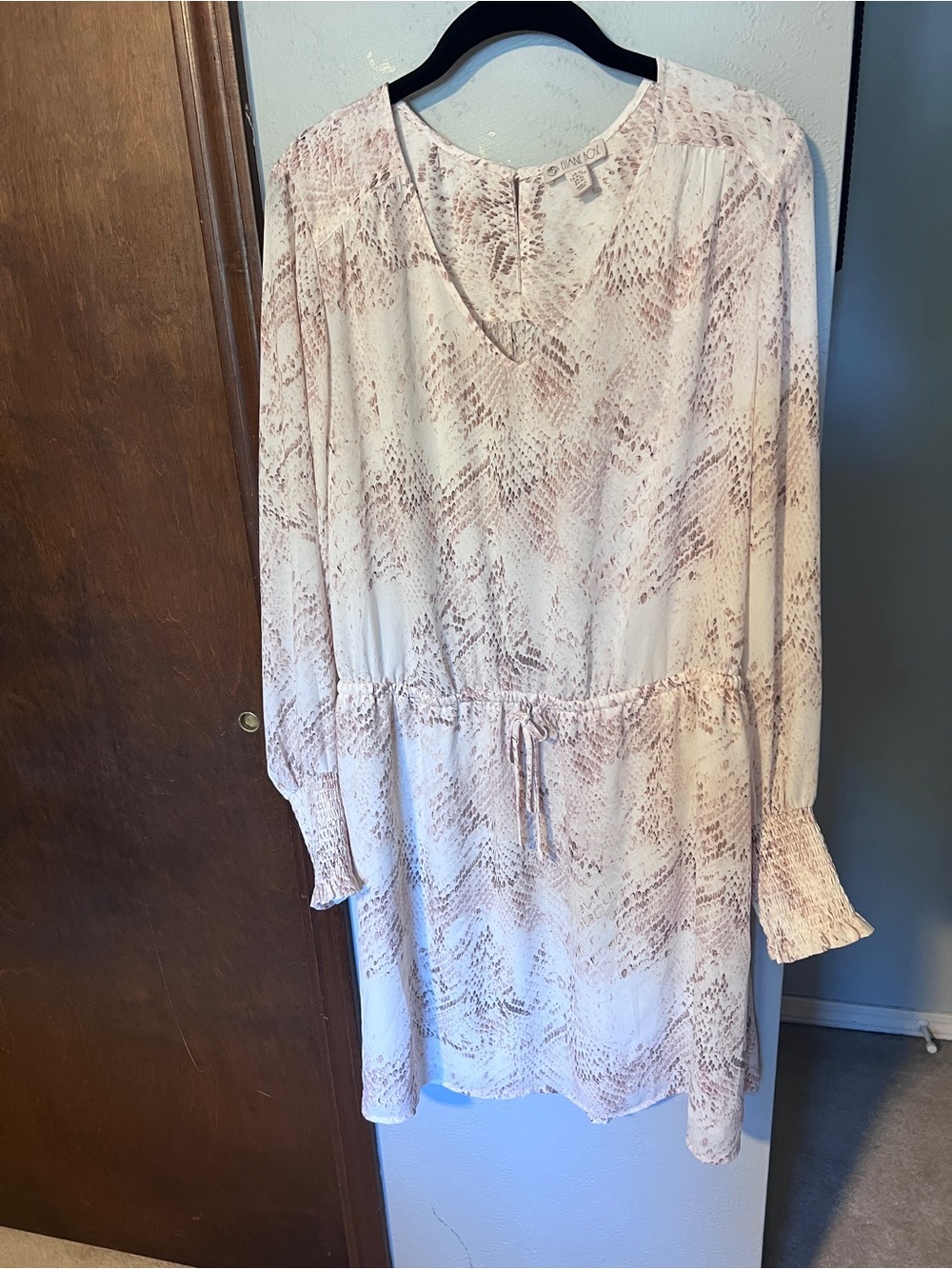 Blush Snake-Print Long Sleeve Drawstring Dress